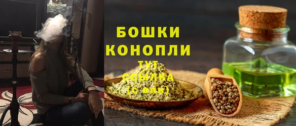 ПСИЛОЦИБИНОВЫЕ ГРИБЫ Заводоуковск