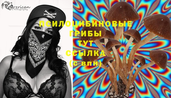 ПСИЛОЦИБИНОВЫЕ ГРИБЫ Заводоуковск