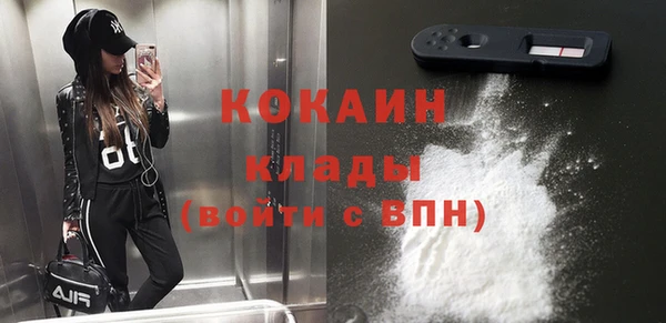 ПСИЛОЦИБИНОВЫЕ ГРИБЫ Заводоуковск