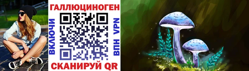 Галлюциногенные грибы мухоморы  Купить  Дубовка 